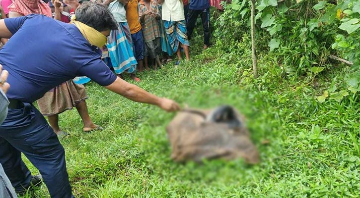 বগুড়ায় লিচু বাগানে পড়ে ছিল বৃদ্ধার বস্তাবন্দি মরদেহ